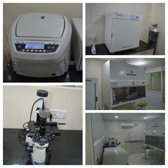 VLAB5